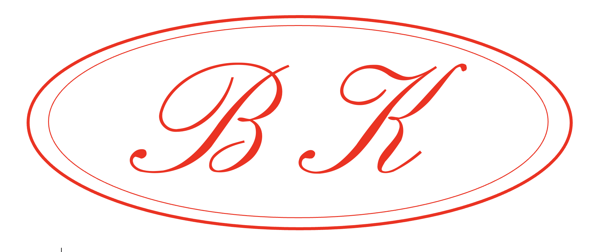 VK logo